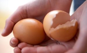 禽流感致鸡蛋价格飙升，韩国政府决定临时取消关税以稳定供应
