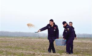 郑州持续大雾鸟儿难觅食，当地林业局采购3吨玉米喂鸟