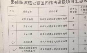 侵蚀秦咸阳宫保护遗址辖区，27项违法建设项目被叫停