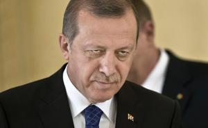 土耳其总统埃尔多安考虑恢复死刑：必须让政变者付出代价 