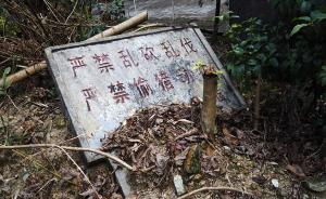 广东南岭保护区内非法建路：称能帮游客省钱，已承诺修复生态
