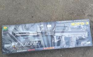河南新县法院就“拍卖BB弹玩具枪”致歉：法官责任心不强