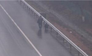 视频｜江苏一男子高速上遛狗：因下雨天道路泥泞，高速上干净