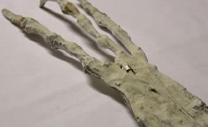 超自然研究团体声称在秘鲁古城发现“神秘大爪”疑属外星人