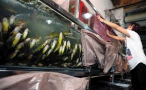 广西：一批次“黄骨鱼”被检出孔雀石绿等禁用药物
