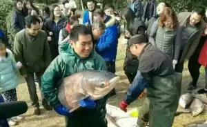 华南理工大学：寒假刚开始，整湖鱼就被捞上来免费吃掉