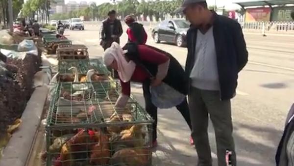 昆明街头百余农民组团卖鸡，场面壮观