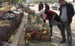 昆明街头百余农民组团卖鸡，场面壮观
