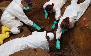 欧洲设首座“法医墓地”，供科学家研究遗体在自然条件下分解
