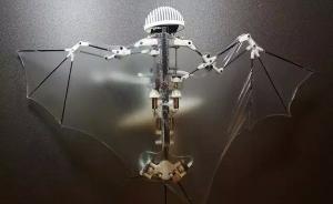 美国科学家研发蝙蝠机器人：完全自主飞行，可用于救灾勘探