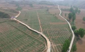 “村里的地”再不能乱用了：中国将规划统筹农村各项土地利用