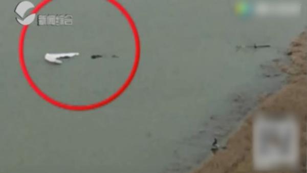 上海男子玩滑翔伞时偏离航线落水溺亡