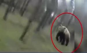 记录仪拍下小伙被棕熊追赶，蹬车逃命