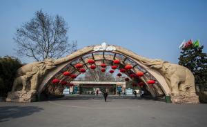 宠物潮流后的丢弃热：上海动物园每年收容动物弃儿超千头