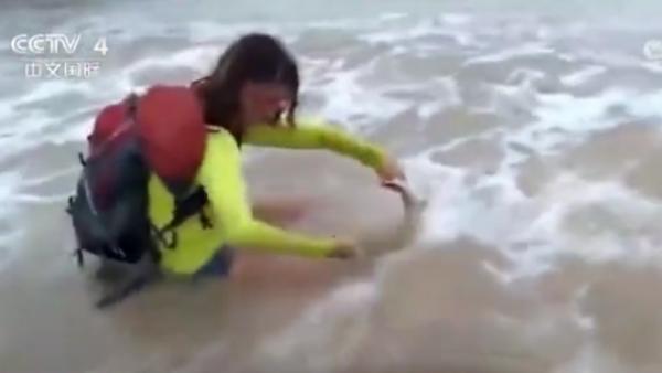 巴西女子抓鲨鱼自拍被咬，被开高额罚金