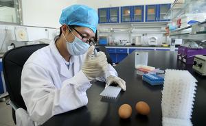 农业部：贵州、江苏、湖北、重庆9批畜禽产品兽药残留超标