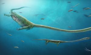 怀孕的恐头龙：中国科学家在2.45亿年前化石中发现其胎儿