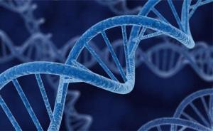 人类基因编辑研究报告发布：应限制编辑可遗传生殖系统基因