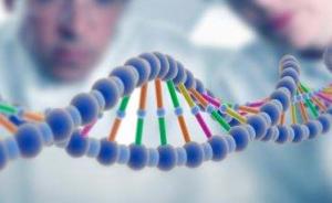 美国谨慎放开人类生殖细胞基因编辑，“人类增强”争议再起