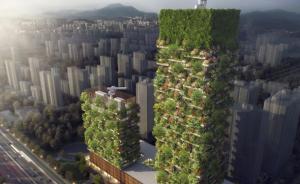 南京有望诞生亚洲首例“垂直森林” ：可日产氧气60公斤