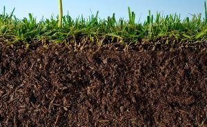 中科院专家研制成功土壤修复新型材料，亩均成本不超过30元