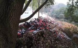 武汉东湖绿道整治将摩拜单车丢荒地遭质疑，安保队长被开除