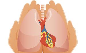 人工心肺如何救命，走近顶尖生命支持技术ECMO