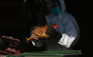 广西卫计委通报今年第二起人感染禽流感病例，均抢救无效死亡