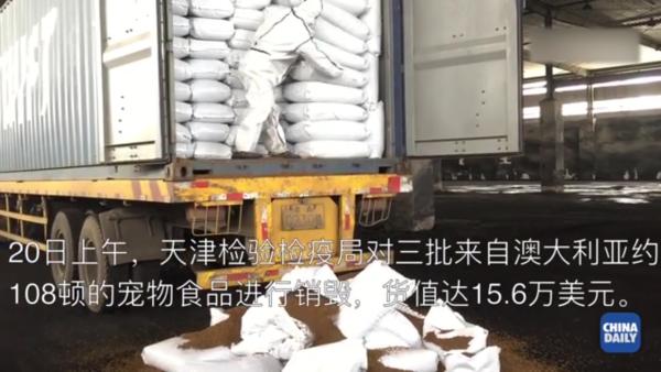 天津销毁百吨禽流感疫区进口猫粮狗粮