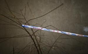 河北衡水校园暴力致初三学生1死2伤，行凶男生被警方控制