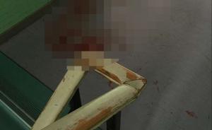 流浪狗进中学教学楼被安保驱赶时打死，武昌教育局：合理及时