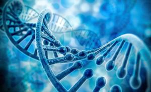 《自然》首次证实：基因甲基化缺失是致癌重要成因
