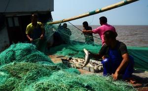 浙江嵊泗在渔老大中选拔渔业副乡长，组织考察范围含同船雇工