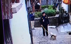丽江古城管理所被指在市民家门口偷狗索要罚款，官方介入调查