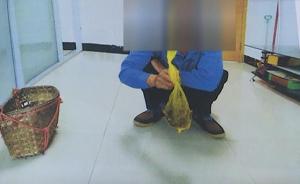 广西一男子非法猎捕猫头鹰20元出售，获刑一年罚两千元