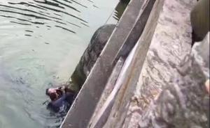 暖闻｜湖南游客在云南普者黑景区意外落水，导游路过跳桥救人