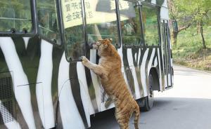 中国裁判文书网3份判例：游客被动物伤害，动物园责任几何？