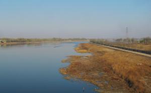 北京北沙河大量放生鱼死亡，水务局：该河为劣五类水