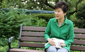 朴槿惠将9只宠物狗留青瓦台被指虐狗，韩国多部门推诿不接手