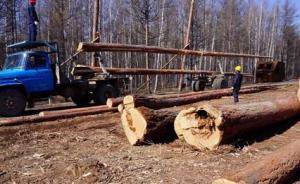 国家林业局：中国已全面停止天然林商业性采伐