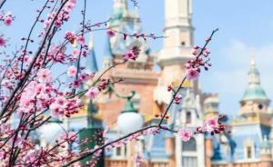 上海迪士尼18日起将发售春季畅游季卡，可多次入园游玩
