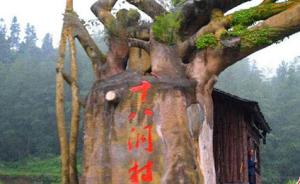 “十八洞村”商标被抢注，湖南律师称有望帮村民抢回姓名权