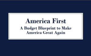 特朗普公布任上首份预算蓝图，美国科学界哀叹“灰暗预算日”
