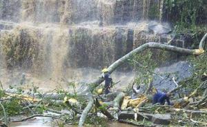 加纳一瀑布景区大树倒塌：造成至少16人死亡，多数为高中生