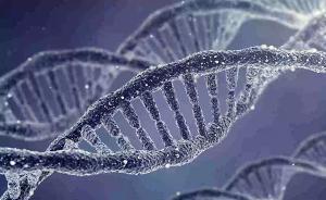 广医三院：编辑人类胚胎基因以治疗严重遗传病符合伦理要求