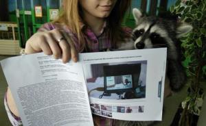 俄罗斯一动物园起诉工作室将租用的浣熊用于拍摄“色情视频”