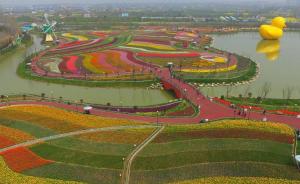 全域旅游示范区创建样本：江苏盐城打造“国内第一郁金香园”