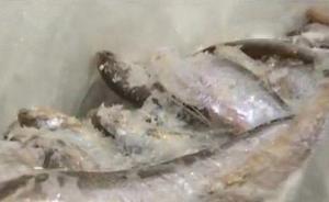 三名旅客从韩国携带150公斤冰鲜鱼入境被查，罚款五千元