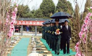 北京首次实施“自然葬”骨灰安放仪式，费用全部由政府买单