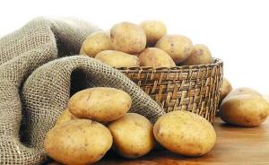 “土豆馒头”走上餐桌，专家：马铃薯主食产业化已无技术障碍